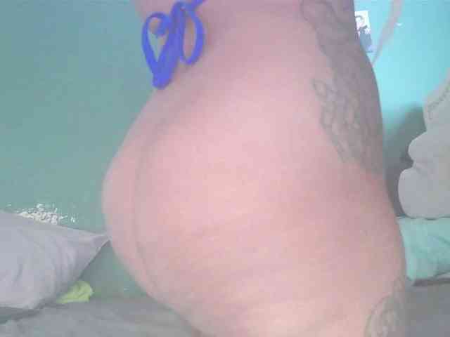 stella-clitella webcam