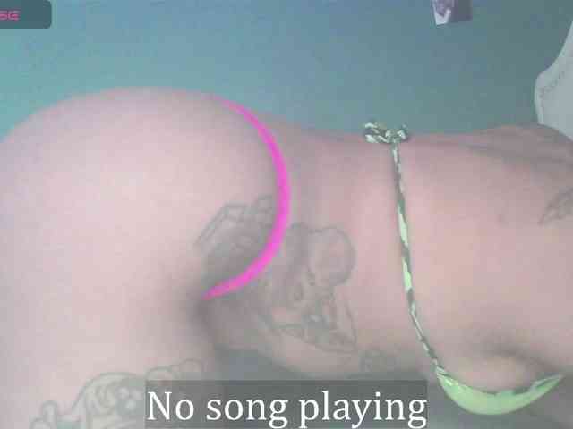 stella-clitella webcam