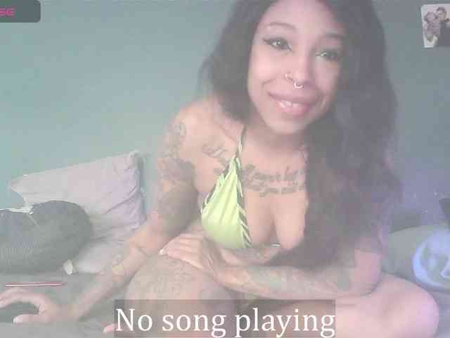 stella-clitella webcam