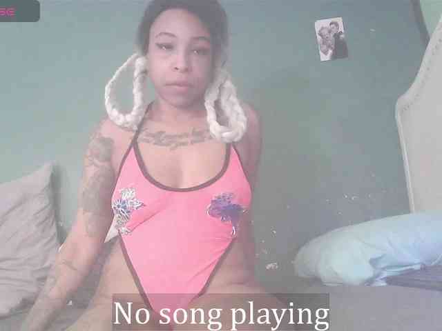 stella-clitella webcam