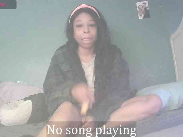 stella-clitella webcam