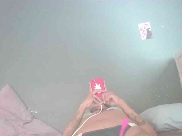 stella-clitella stella-clitella