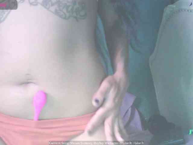 stella-clitella webcam