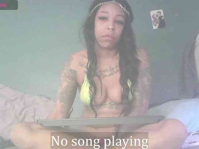 stella-clitella webcam