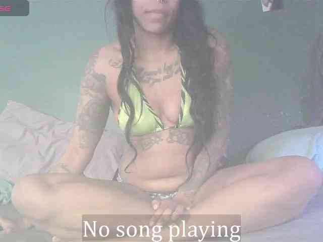 stella-clitella webcam