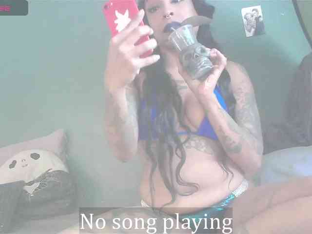 stella-clitella webcam