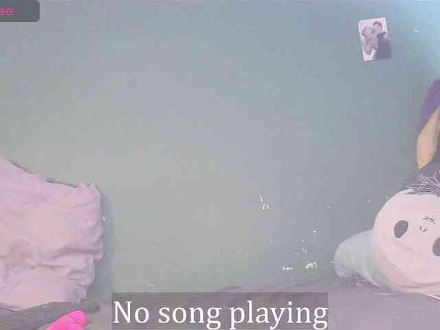 stella-clitella webcam