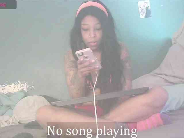 stella-clitella webcam