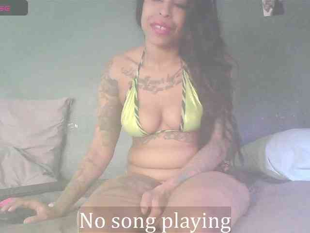 stella-clitella webcam