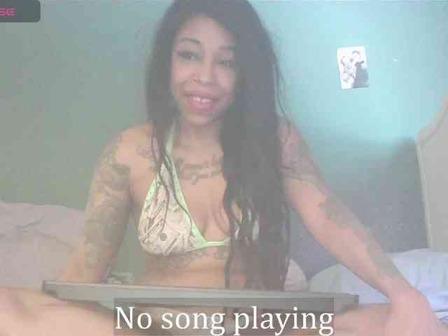 stella-clitella webcam