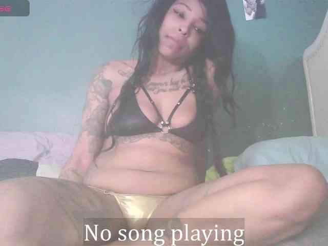 stella-clitella webcam