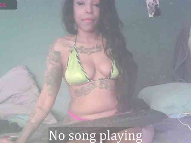 stella-clitella webcam