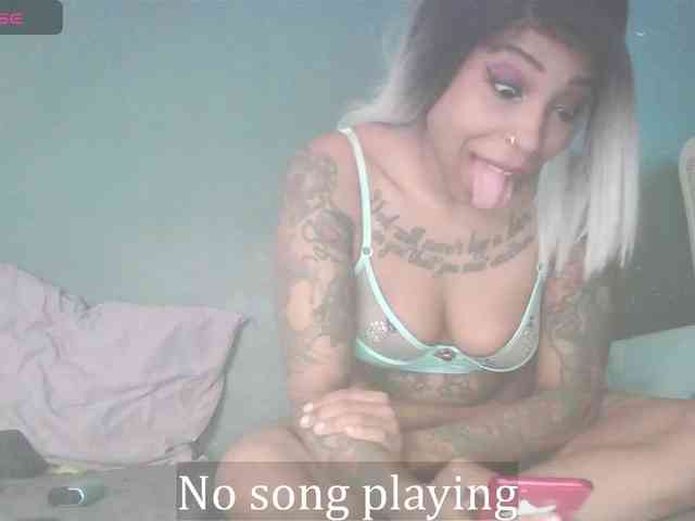 stella-clitella webcam