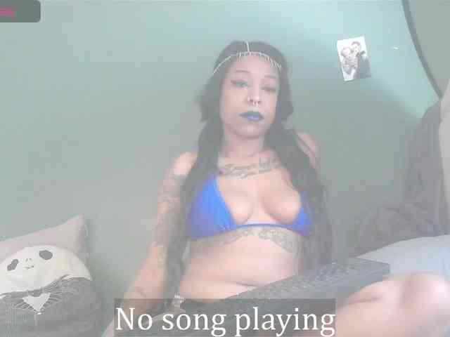 stella-clitella webcam