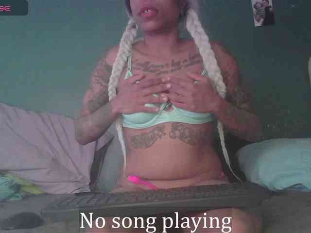 stella-clitella webcam