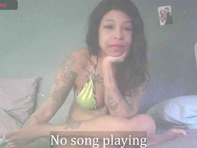 stella-clitella webcam