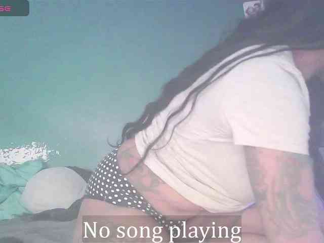 stella-clitella webcam