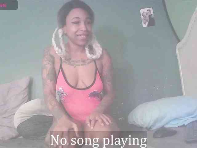 stella-clitella webcam