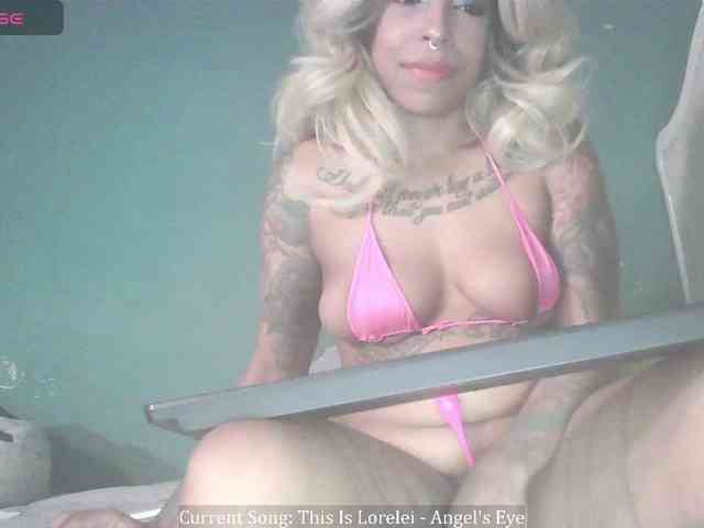 stella-clitella webcam