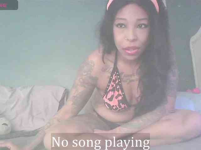 stella-clitella webcam