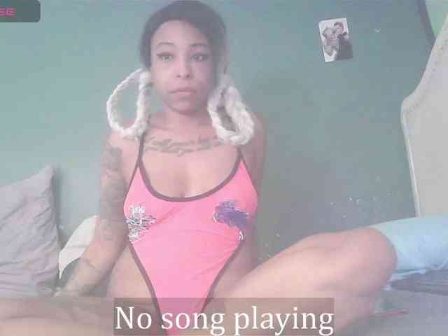 stella-clitella webcam