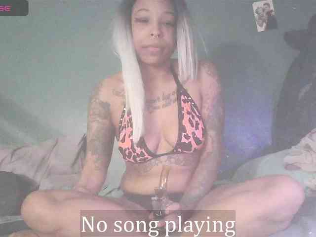 stella-clitella webcam