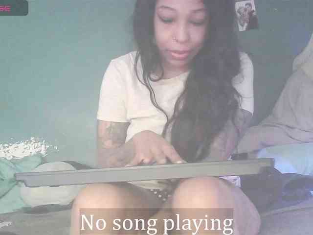 stella-clitella webcam