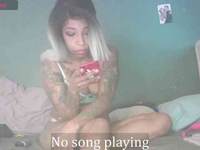 stella-clitella stella-clitella