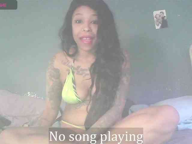 stella-clitella webcam