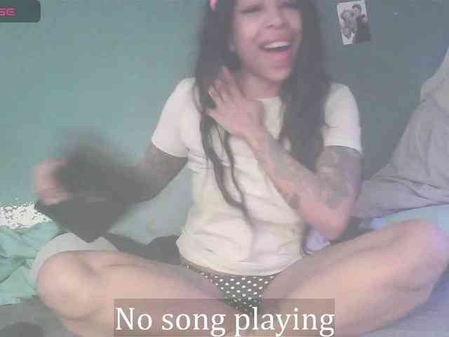 stella-clitella webcam