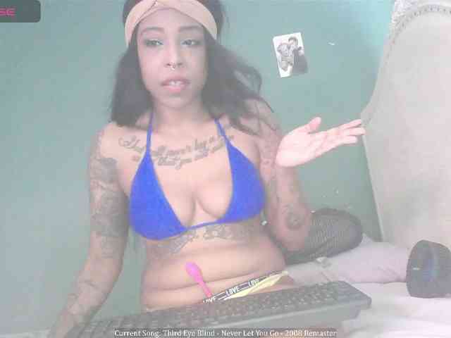 stella-clitella webcam