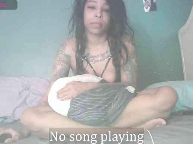 stella-clitella webcam