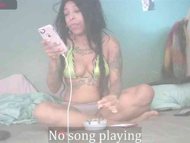 stella-clitella webcam