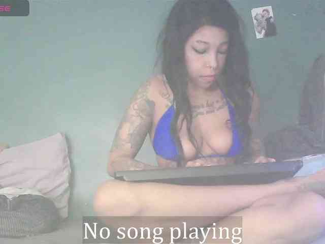 stella-clitella webcam