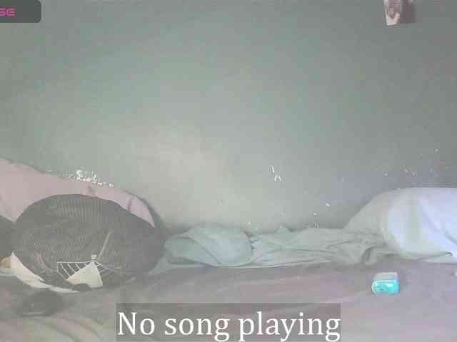 stella-clitella webcam