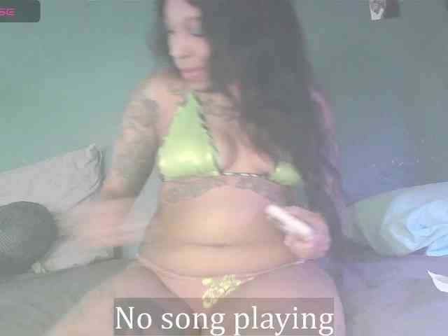 stella-clitella webcam