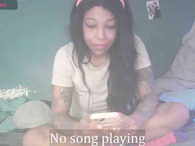 stella-clitella webcam