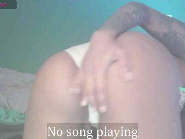 stella-clitella webcam