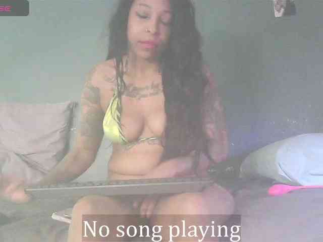 stella-clitella webcam