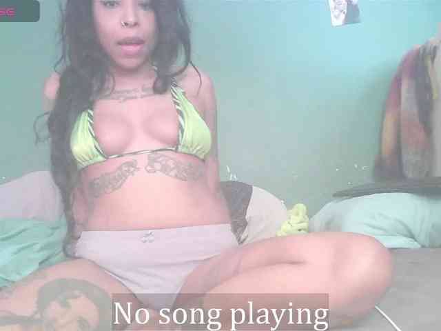 stella-clitella webcam