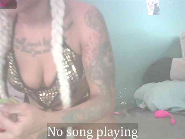 stella-clitella webcam