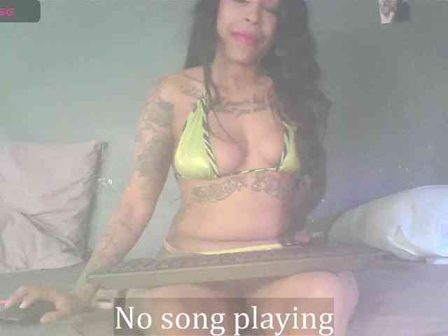 stella-clitella webcam