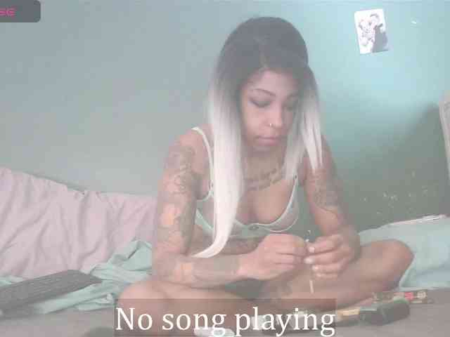 stella-clitella webcam