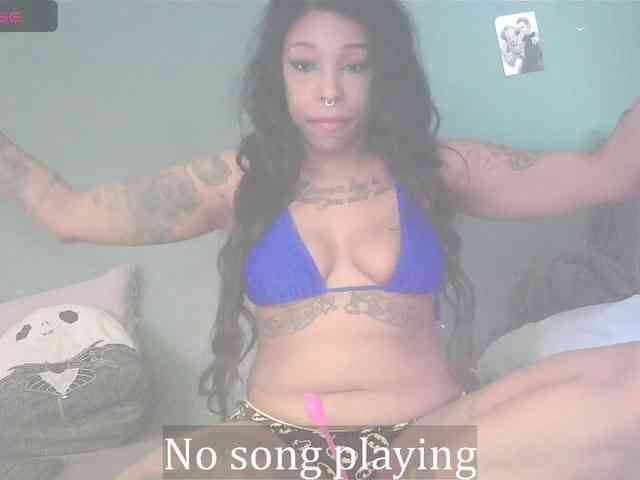 stella-clitella webcam