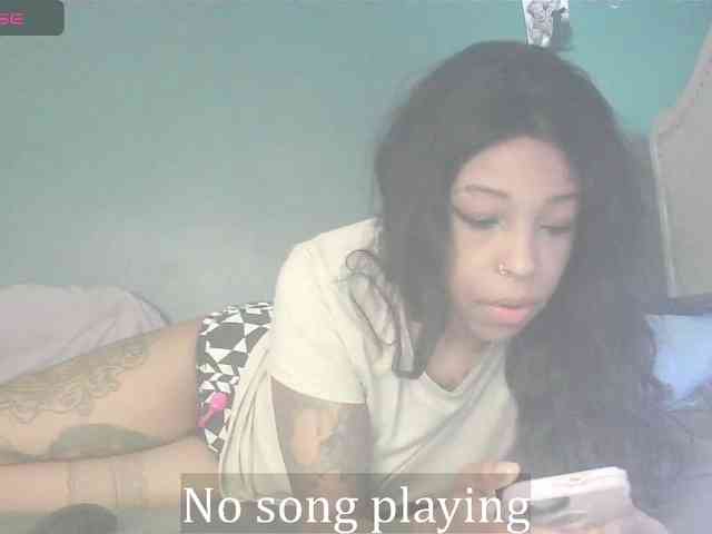 stella-clitella webcam