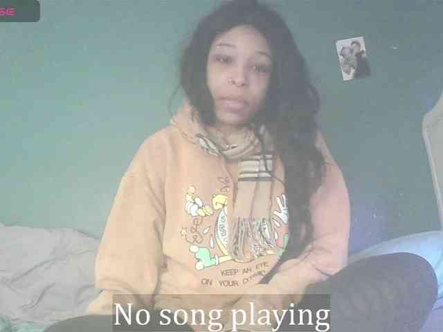 stella-clitella webcam