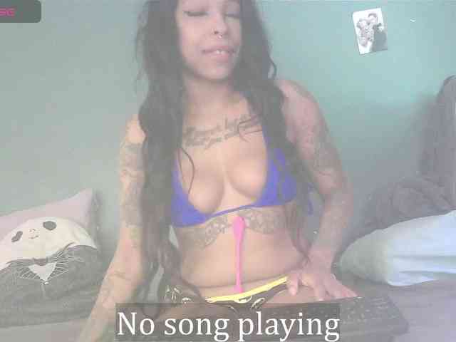 stella-clitella webcam