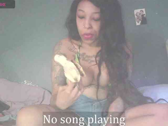 stella-clitella webcam