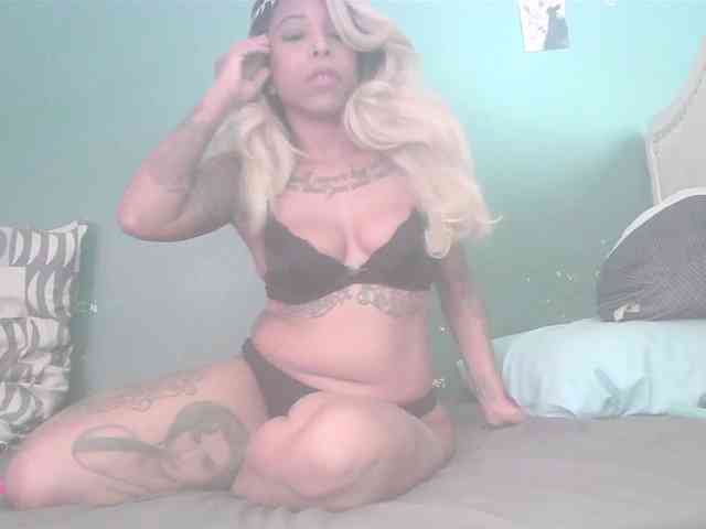 stella-clitella webcam