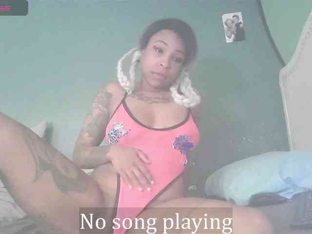 stella-clitella webcam